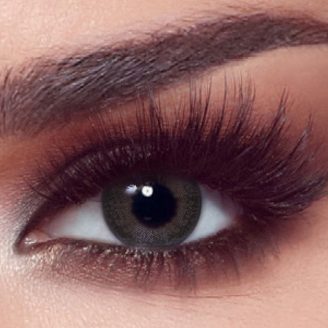 BELLA One Day Ash Brown